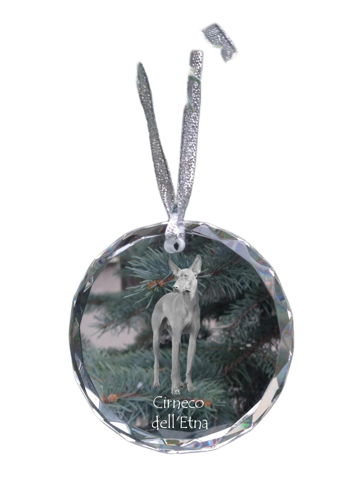 Cirneco dell Etna - crystal bauble with a photo, dog photo in crystal, personalized Christmas tree ornament by Art-Dog brand прозорий
Cirneco dell Etna - crystal bauble with a photo, dog photo in crystal, personalized Christmas tree ornament by Art-Dog brand прозорий