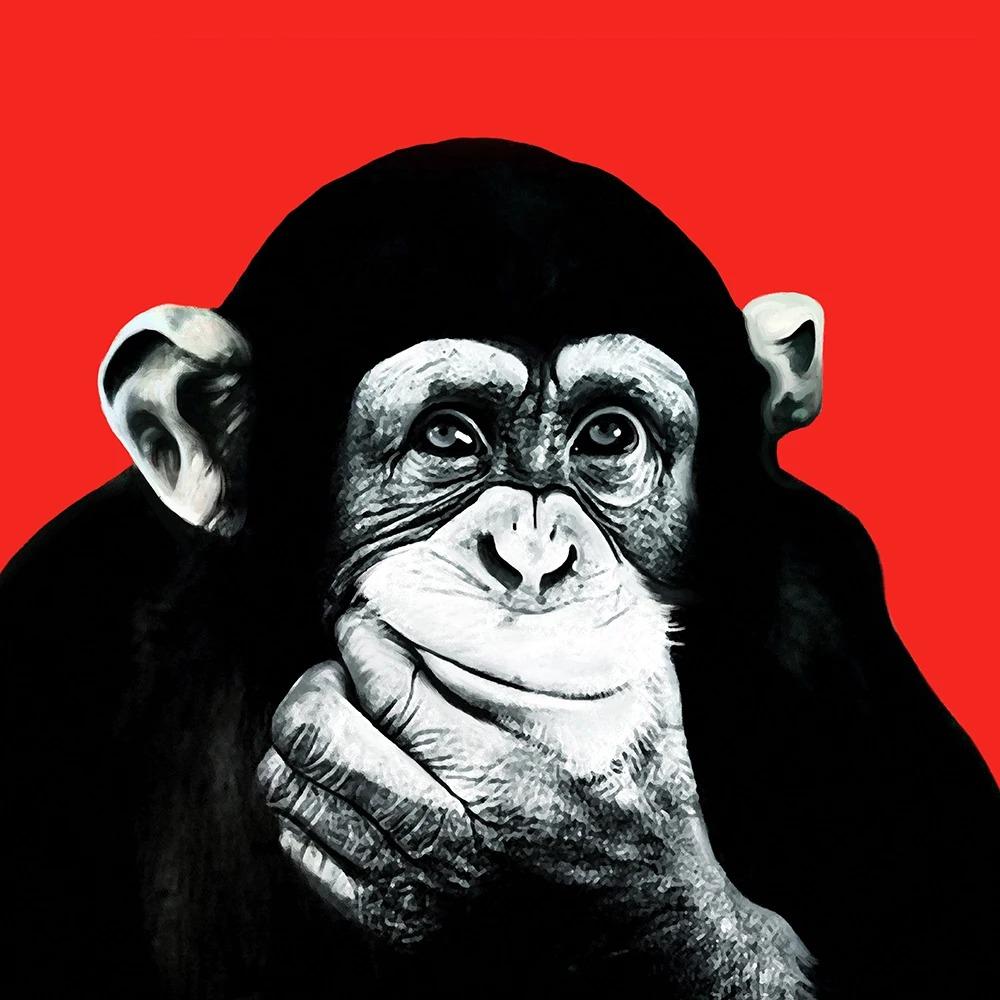 Красочные Наушники Гориллы Обезьяны Шимпанзе Искусство Холст Настенное Искусство Веселая Животная Холст Картина Гостиная Домашнее Украшение 20x20cm no frame
Красочные Наушники Гориллы Обезьяны Шимпанзе Искусство Холст Настенное Искусство Веселая Животная Холст Картина Гостиная Домашнее Украшение 20x20cm no frame