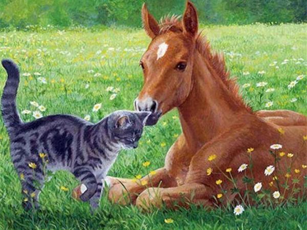 Алмазная картина лошадь полная квадратная алмазная вышивка животные 5D DIY мозаика горный хрусталь картина украшение дома Full Round 20x25CM
Алмазная картина лошадь полная квадратная алмазная вышивка животные 5D DIY мозаика горный хрусталь картина украшение дома Full Round 20x25CM