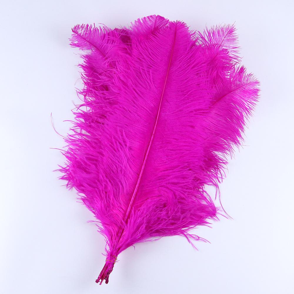 Ostrich Hair 60-65Cm South African Imported Feather Jewelry Accessories Fashion Popular Decorative Ornaments Down Cotton
Ostrich Hair 60-65Cm South African Imported Feather Jewelry Accessories Fashion Popular Decorative Ornaments Down Cotton