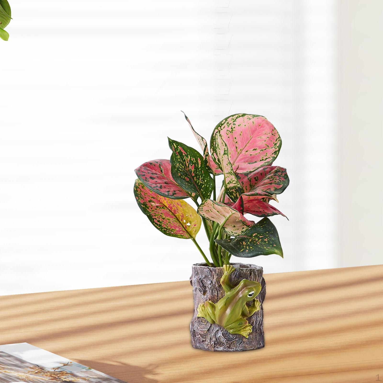 Цветочный горшок с фигуркой лягушки 10x10 см многофункциональное настольное украшение из смолы для дома Style B
Цветочный горшок с фигуркой лягушки 10x10 см многофункциональное настольное украшение из смолы для дома Style B