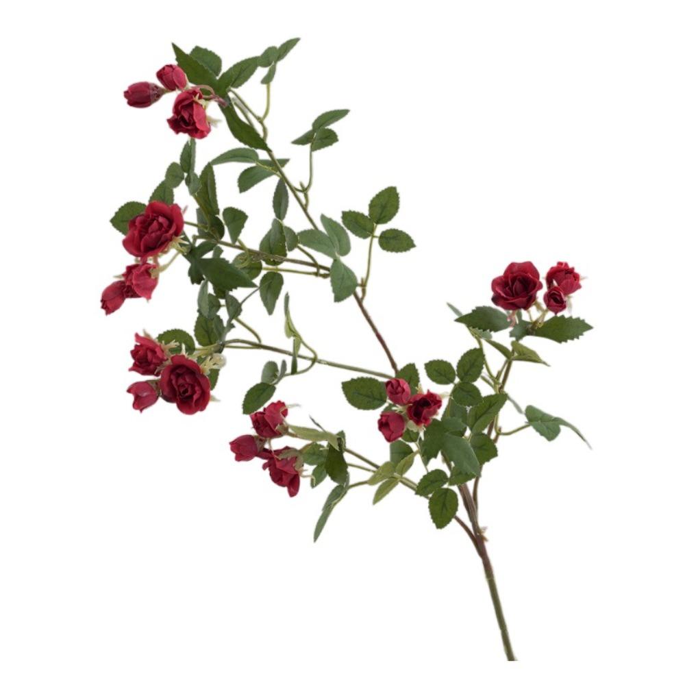 65 см Искусственная ветка розы Реалистичное прикосновение Искусственные цветы Шелковая мини-роза Декор для дома и офиса красный
65 см Искусственная ветка розы Реалистичное прикосновение Искусственные цветы Шелковая мини-роза Декор для дома и офиса красный