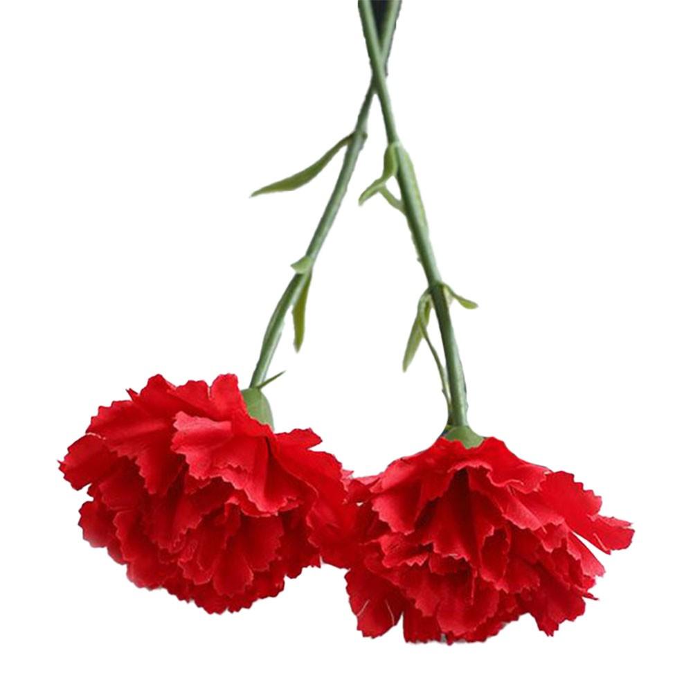 Простое в уходе моделирование гвоздики свадебное украшение Big Red
Простое в уходе моделирование гвоздики свадебное украшение Big Red