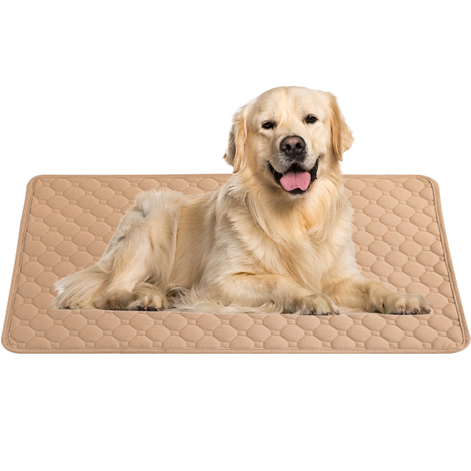 Pet Small Pet Туалет Подложка Quick L BIG&SO Простыня, Моющаяся, Кошка, Собака, Животное, Простыня, Коврик, Чехол, Сушка, Дезодорирующий, Антибактериальный, Бежевый, Размер,
Pet Small Pet Туалет Подложка Quick L BIG&SO Простыня, Моющаяся, Кошка, Собака, Животное, Простыня, Коврик, Чехол, Сушка, Дезодорирующий, Антибактериальный, Бежевый, Размер,