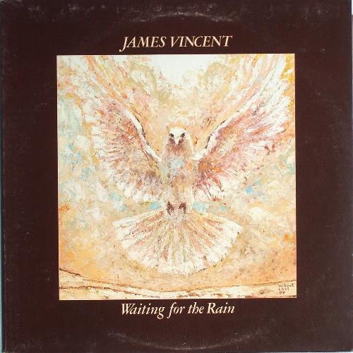 LP Record JAMES VINCENT - Waiting For The Rain JZ34899 Caribou Records 1978 US Jazz Used
LP Record JAMES VINCENT - Waiting For The Rain JZ34899 Caribou Records 1978 US Jazz Used