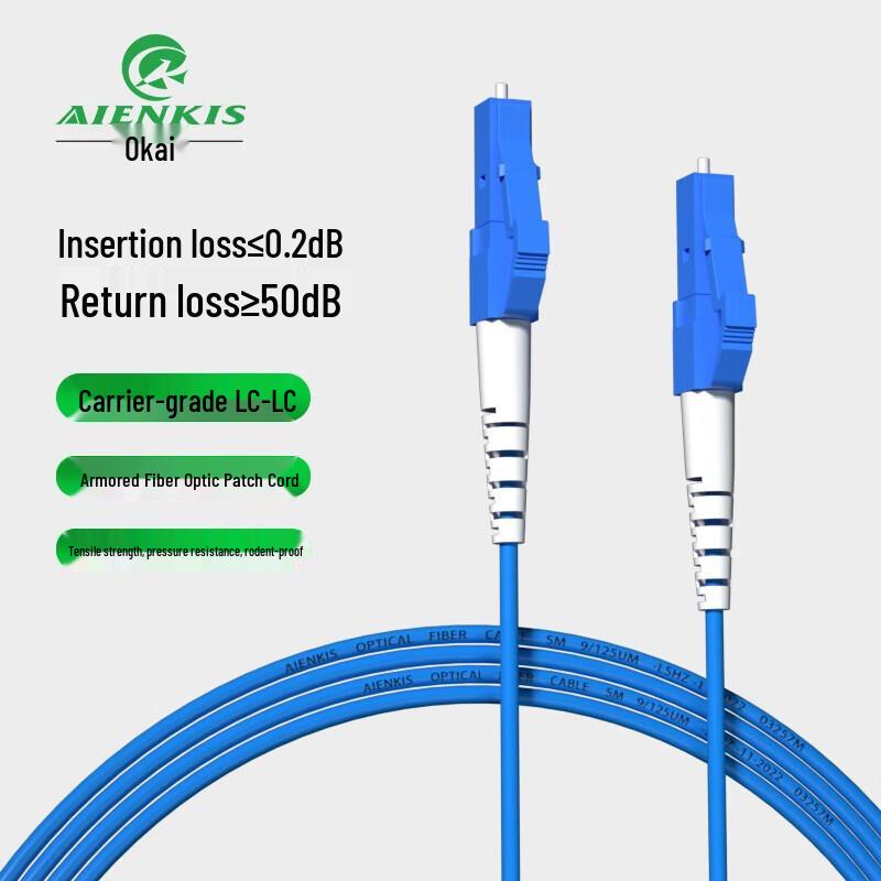 AIENKIS 50M LC-LC Single Mode Armored Fiber Optic Patch Cable
AIENKIS 50M LC-LC Single Mode Armored Fiber Optic Patch Cable