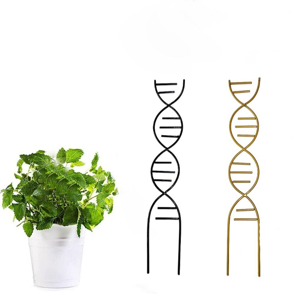 2pcs Reusable Plant Climbing Frame Durable Flower Inserting Frame Potted Plant Bracket Outdoor S золотой
2pcs Reusable Plant Climbing Frame Durable Flower Inserting Frame Potted Plant Bracket Outdoor S золотой