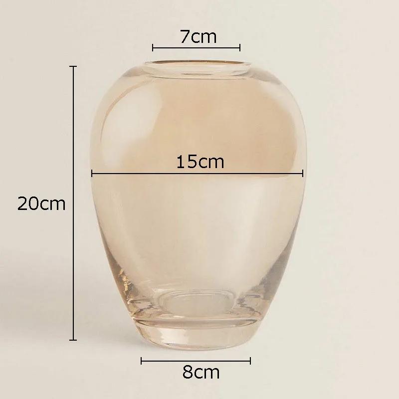 Amber Color Glass Vase Transparent Hydroponics Flower Pots Decorative Flower Arrangement Desk Decoration Vases Modern Home Decor
Amber Color Glass Vase Transparent Hydroponics Flower Pots Decorative Flower Arrangement Desk Decoration Vases Modern Home Decor