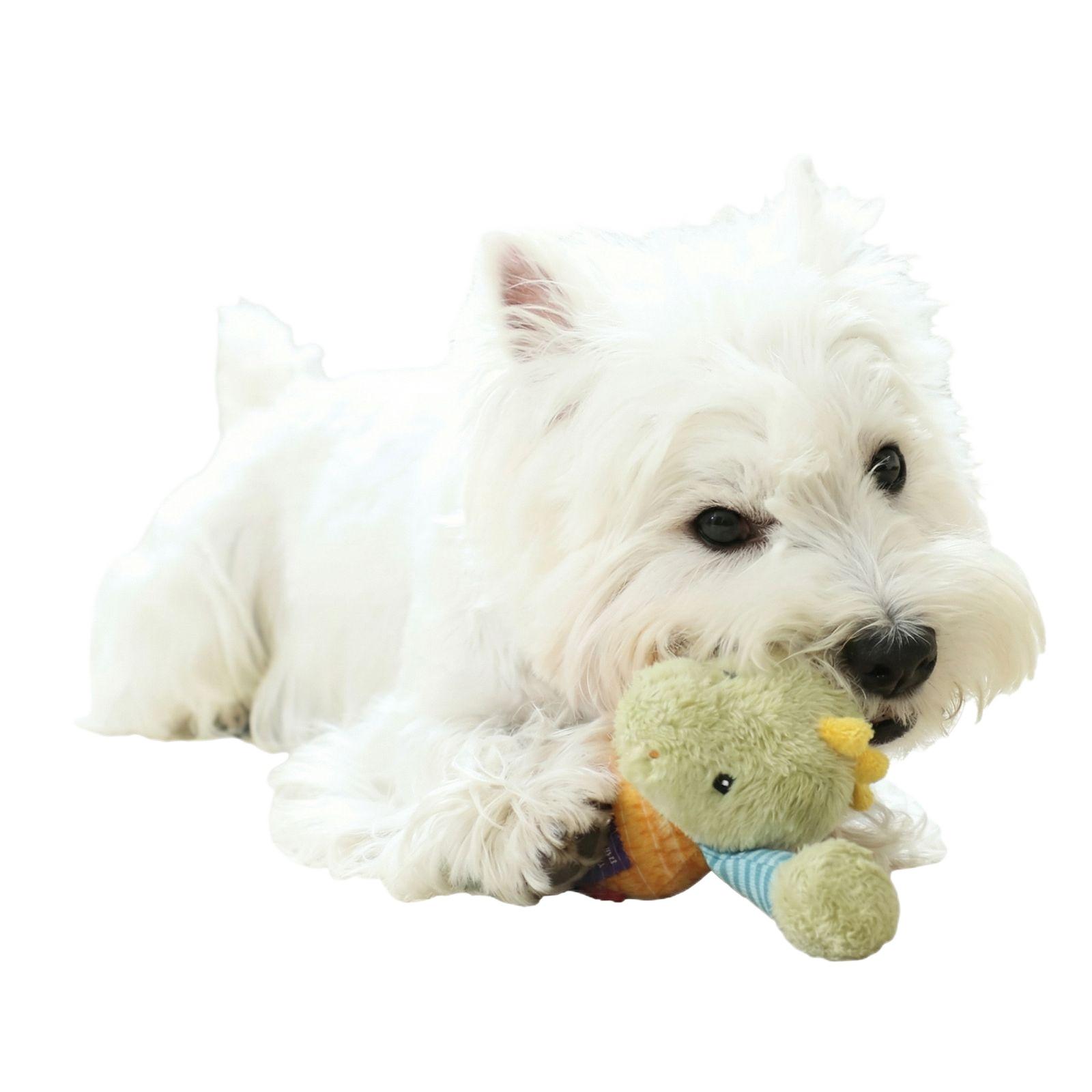 Flamingo Squeaky Dog Toy Plush Rope Knot Tug Chew Toy for Dogs one size
Flamingo Squeaky Dog Toy Plush Rope Knot Tug Chew Toy for Dogs one size