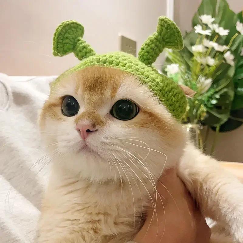 Капелюшки для котів Смішні домашні улюбленці Вечірка Косплей Головний убір Делікатна обробка краю Підвіска Декор Еластичність В язана Мила шапка Аксесуари для домашніх тварин
Капелюшки для котів Смішні домашні улюбленці Вечірка Косплей Головний убір Делікатна обробка краю Підвіска Декор Еластичність В язана Мила шапка Аксесуари для домашніх тварин