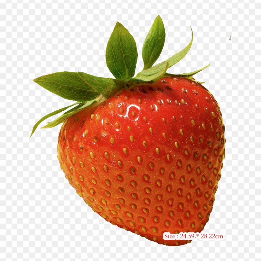 Augerolles Железо на теплообмене Печать Виниловые патчи Наклейка для одежды DIY Аппликации Моющиеся пластыри
Augerolles Железо на теплообмене Печать Виниловые патчи Наклейка для одежды DIY Аппликации Моющиеся пластыри