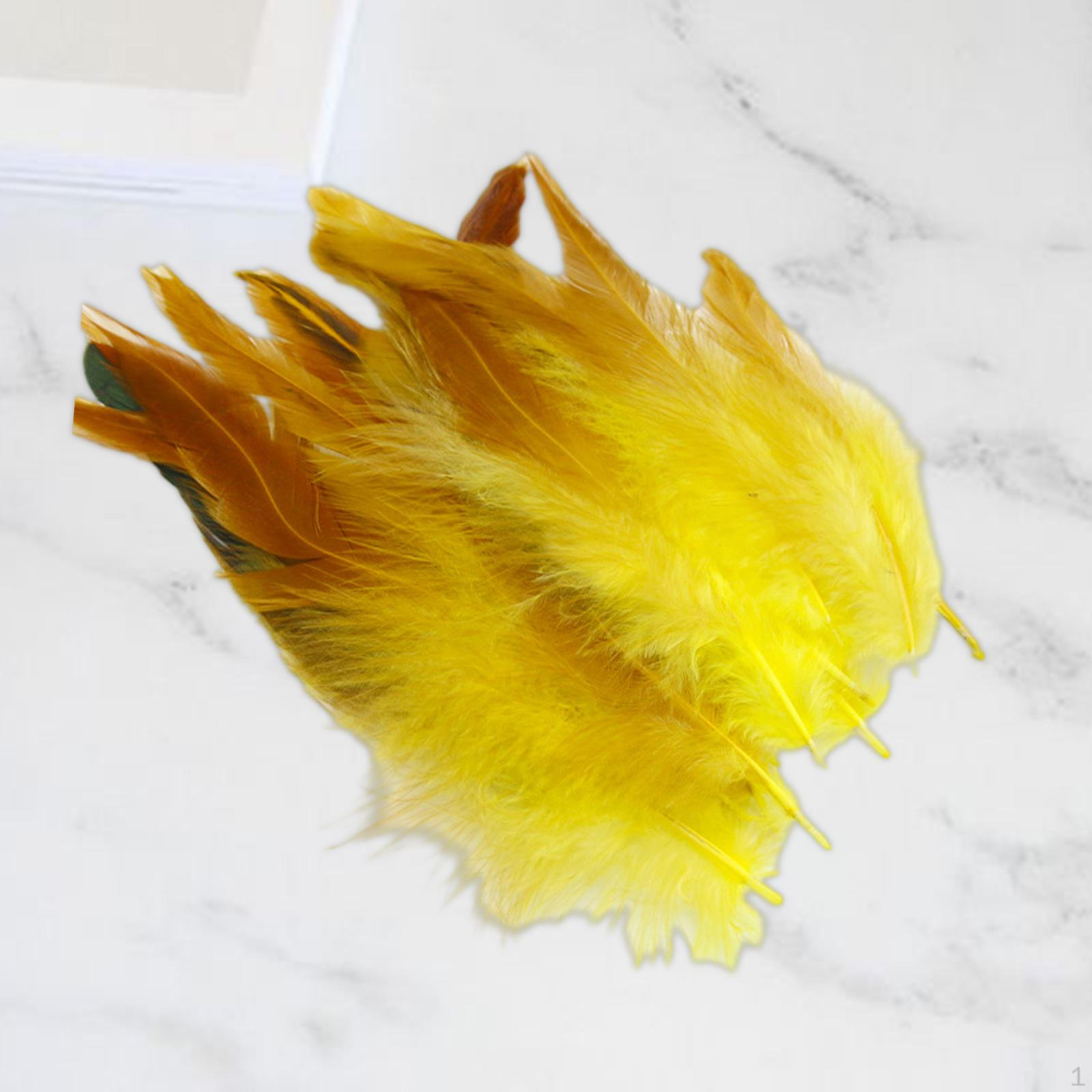 50 шт. перья для поделок украшения из куриных перьев аксессуары для рукоделия свадебные шляпы
50 шт. перья для поделок украшения из куриных перьев аксессуары для рукоделия свадебные шляпы