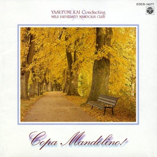 CD MANDOLIN Song of Youth COCS14577 1997 Japan ObiSoulFunk Used
CD MANDOLIN Song of Youth COCS14577 1997 Japan ObiSoulFunk Used