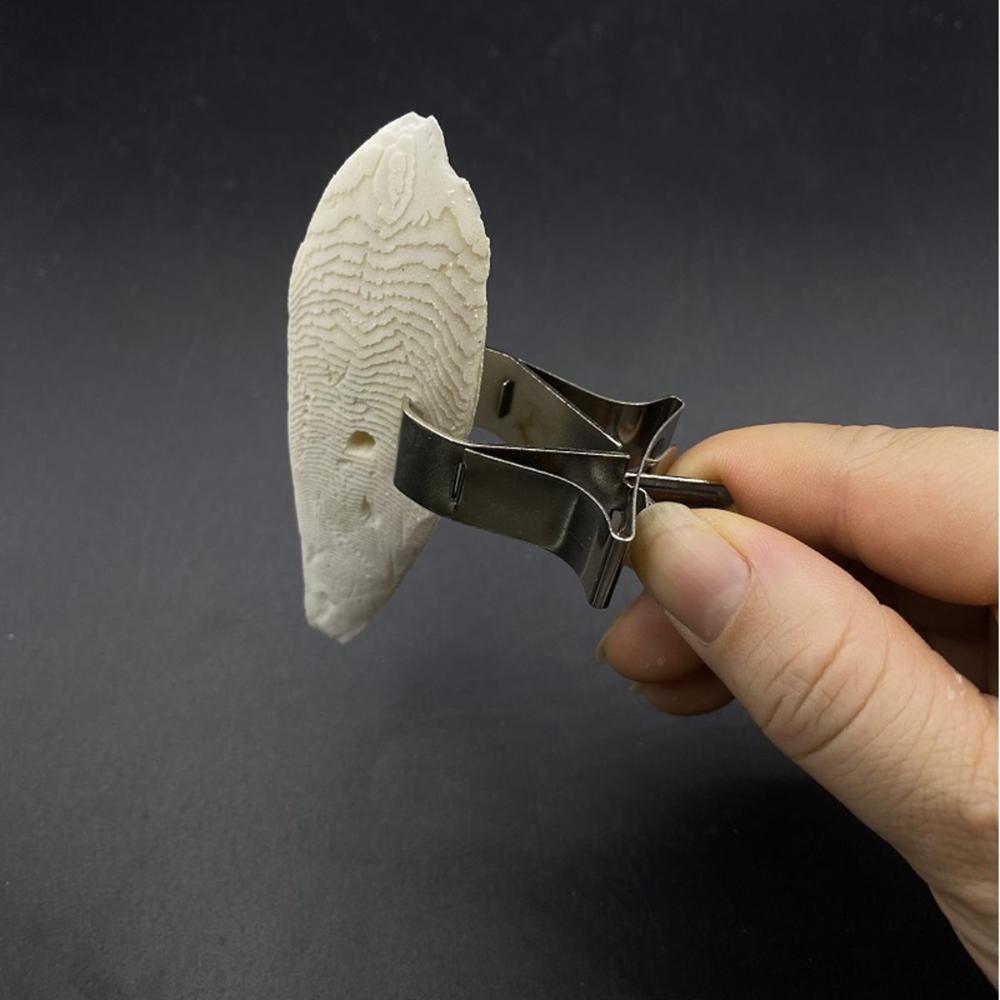 Stainless Steel Small Animals Vegetable Bird Food Holders Clip Parrot Feeder Feeding Clamp 1Pc
Stainless Steel Small Animals Vegetable Bird Food Holders Clip Parrot Feeder Feeding Clamp 1Pc