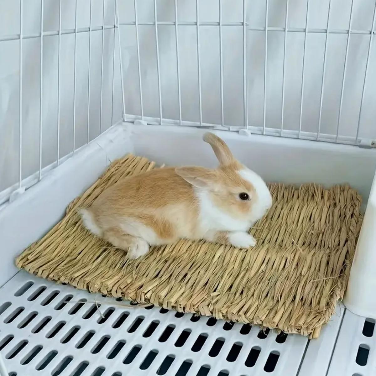 Natural grass woven rabbit grass mat suitable for small animal cages - comfortable bedding suitable for rabbit hay beds Other
Natural grass woven rabbit grass mat suitable for small animal cages - comfortable bedding suitable for rabbit hay beds Other