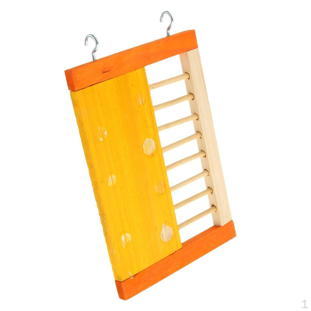 Funny Climbing Ladder Molar Supplies for Hamsters Exercise Random
Funny Climbing Ladder Molar Supplies for Hamsters Exercise Random
