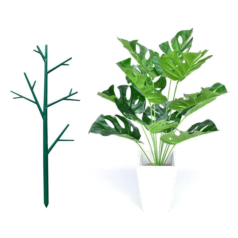 Support Plastic Plant Support Pile Stand Climbing Trellis Flower Vine Holder Plant Climbing Frame 5Pcs
Support Plastic Plant Support Pile Stand Climbing Trellis Flower Vine Holder Plant Climbing Frame 5Pcs