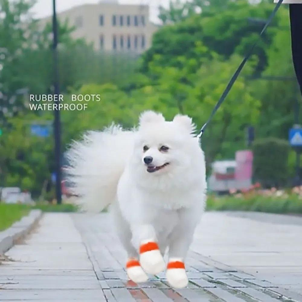 40pcs Waterproof Dog Paw Cover Bag Disposable Walking Dog Socks New Dog Shoe Covers for Outdoor S-15 x 7 cm
40pcs Waterproof Dog Paw Cover Bag Disposable Walking Dog Socks New Dog Shoe Covers for Outdoor S-15 x 7 cm