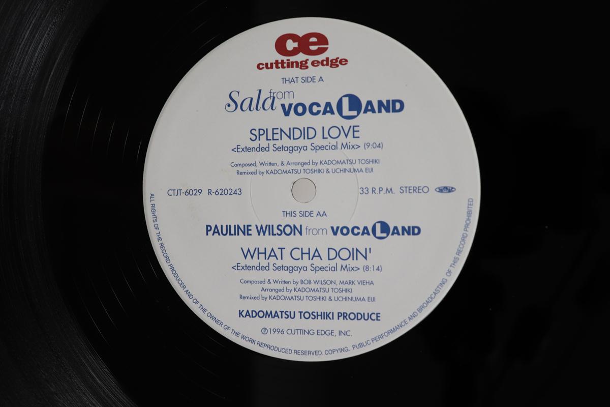 12inch Record SALA PAULINE WILSON Splendid Love What Cha Doin CTJT6029 CUTING EDGE 1996 Japan Japanese PopRock Used
12inch Record SALA PAULINE WILSON Splendid Love What Cha Doin CTJT6029 CUTING EDGE 1996 Japan Japanese PopRock Used