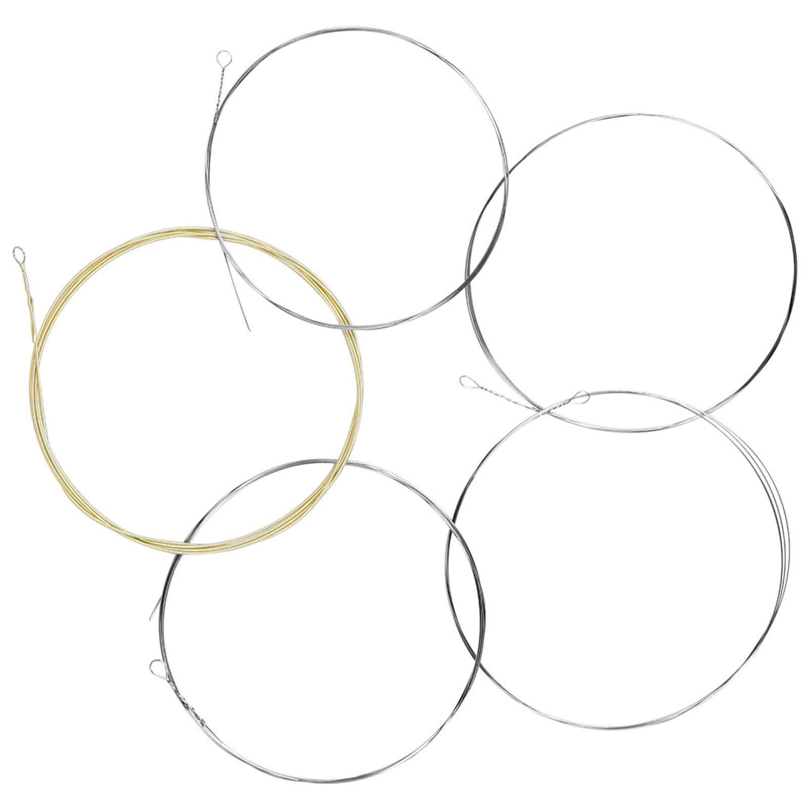Stainless Steel and Bronze Winding Banjo Strings 5-String Banjo Strings with Rustproof Coating Beginner Practice Strings 1
Stainless Steel and Bronze Winding Banjo Strings 5-String Banjo Strings with Rustproof Coating Beginner Practice Strings 1