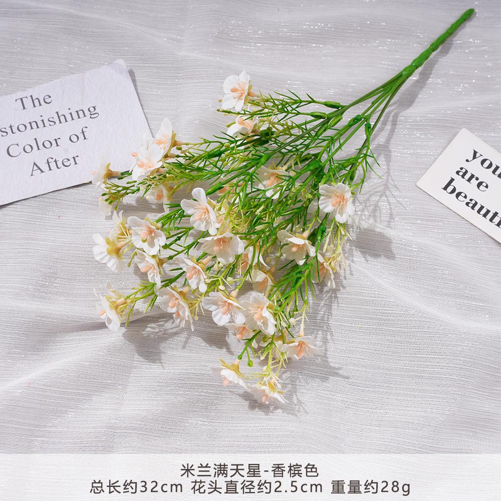 Simulated Milan Starry Sky Fake Bouquet Artificial Silk Flower Plastic Arrangement Wedding Decoration Living Room Decoration 2pcs шампанского
Simulated Milan Starry Sky Fake Bouquet Artificial Silk Flower Plastic Arrangement Wedding Decoration Living Room Decoration 2pcs шампанского