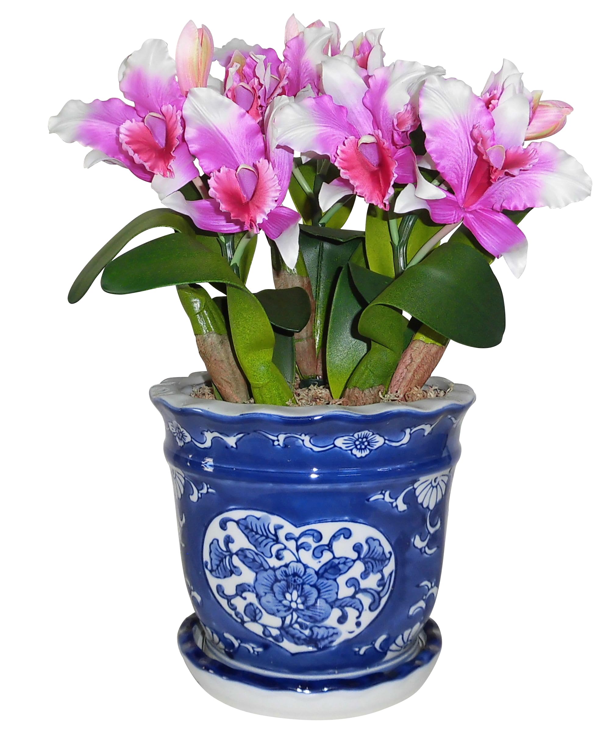 Artificial Orchid Design Photocatalyst Interior Flower Phalaenopsis/Western Traditional Style/Blue Pot (Air Purifier) (Cattleya-S3 Stem/Pastel
Artificial Orchid Design Photocatalyst Interior Flower Phalaenopsis/Western Traditional Style/Blue Pot (Air Purifier) (Cattleya-S3 Stem/Pastel