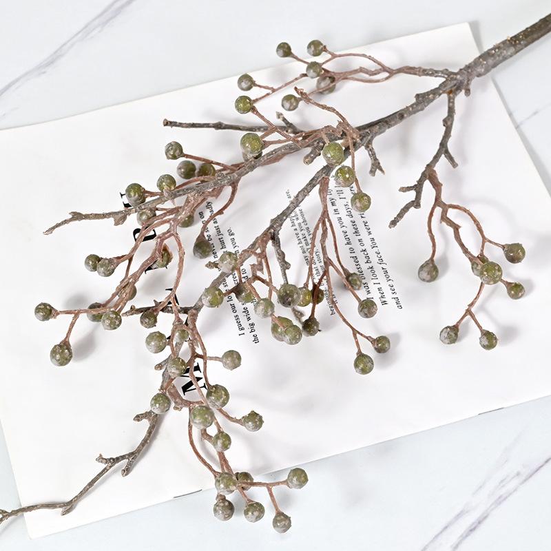 Имитация сухоцветов, ветки ягод, красные фрукты, рождественские искусственные цветы, свадебные украшения из сухоцветов, североамериканский падуб оливковое зеленый
Имитация сухоцветов, ветки ягод, красные фрукты, рождественские искусственные цветы, свадебные украшения из сухоцветов, североамериканский падуб оливковое зеленый