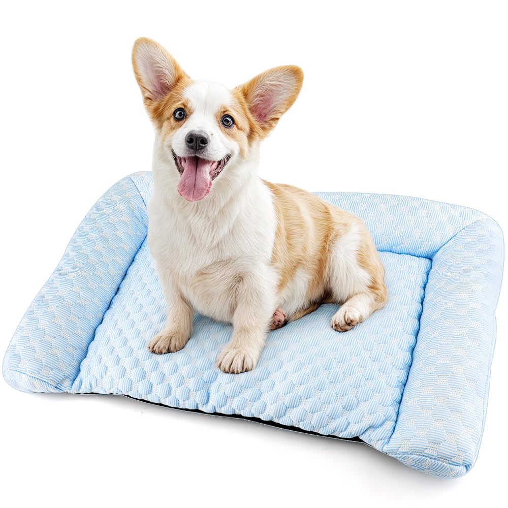 Dopet Pet Bed for Cats and Pet Mat Pet Pet Cool Polypropylene All Year Summer Hair Bite Small Blue Dogs, - Bed, Sofa, Silk, Cotton, Round, Use, Cool, синій
Dopet Pet Bed for Cats and Pet Mat Pet Pet Cool Polypropylene All Year Summer Hair Bite Small Blue Dogs, - Bed, Sofa, Silk, Cotton, Round, Use, Cool, синій