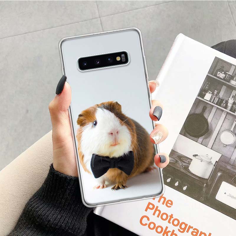 Guinea Pig Cute Animal Pet Blue Phone Case For Samsung Galaxy S26 Ultra S23 S24 S25 Edge S20 FE S21 S22 Plus Soft Print Shell Co Samsung S26 Plus
Guinea Pig Cute Animal Pet Blue Phone Case For Samsung Galaxy S26 Ultra S23 S24 S25 Edge S20 FE S21 S22 Plus Soft Print Shell Co Samsung S26 Plus