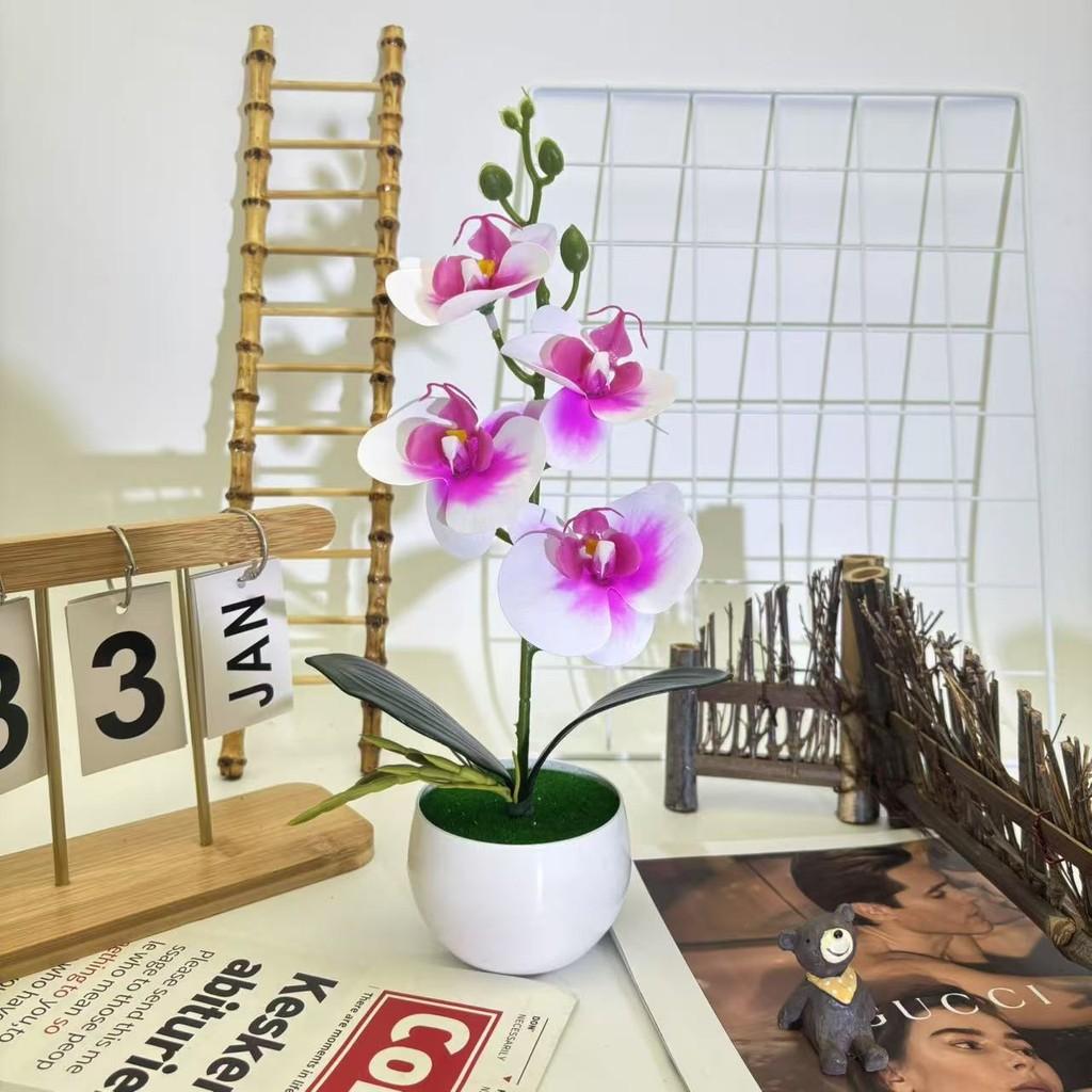 Искусственный Фаленопсис в горшке для украшения дома, офиса, свадьбы Purple White
Искусственный Фаленопсис в горшке для украшения дома, офиса, свадьбы Purple White