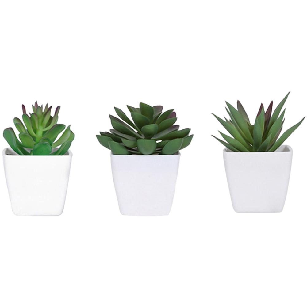 As Shown Faux Succulent Rose Potted Plants Set Lifelike Textures Manual Dyeing Technique Clear Blossom Details
As Shown Faux Succulent Rose Potted Plants Set Lifelike Textures Manual Dyeing Technique Clear Blossom Details