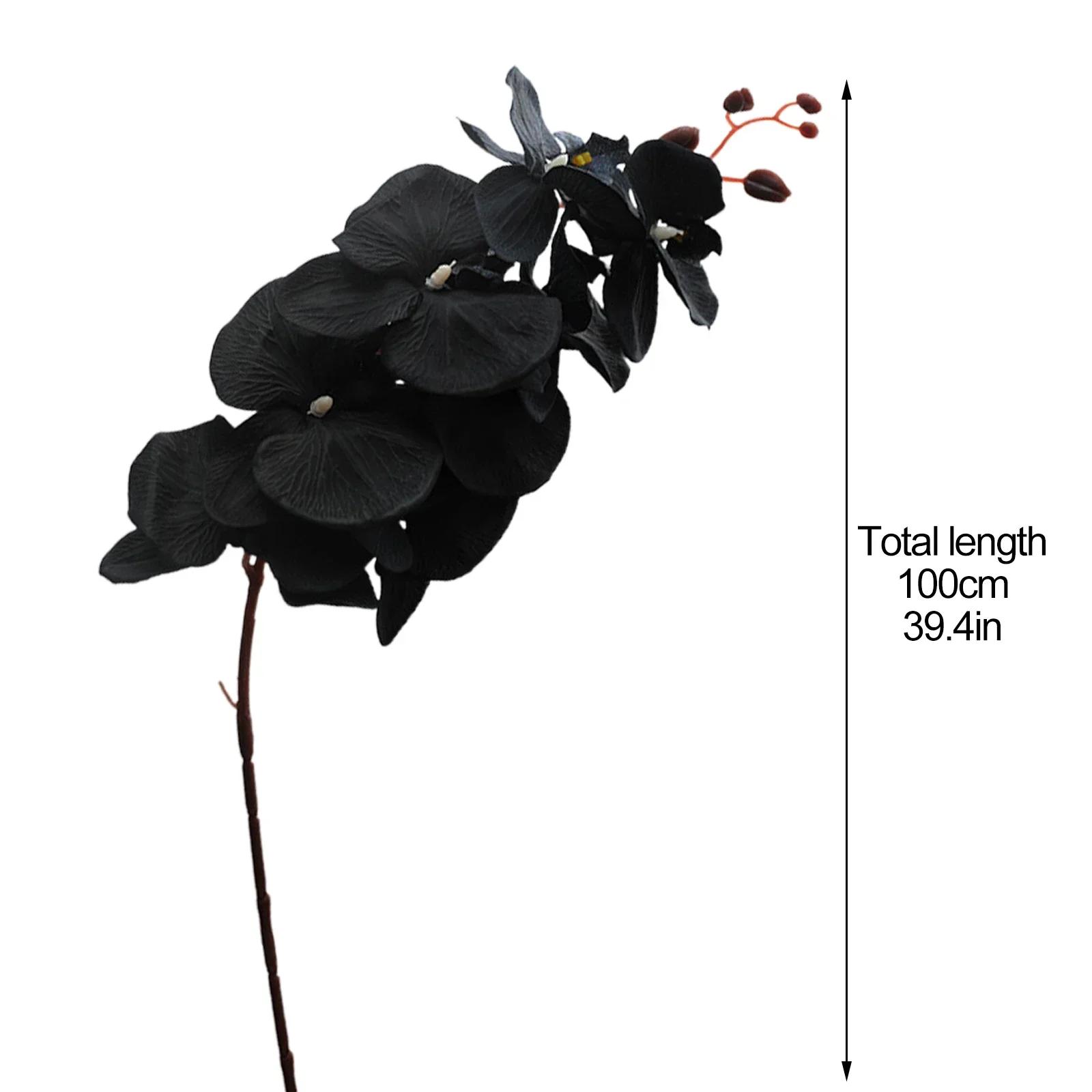 Artificial Orchid Branch 8 Head Black Dancing Orchid Butterfly Orchids Flower Branches Simulation Phalaenopsis Home Decoration чёрный
Artificial Orchid Branch 8 Head Black Dancing Orchid Butterfly Orchids Flower Branches Simulation Phalaenopsis Home Decoration чёрный