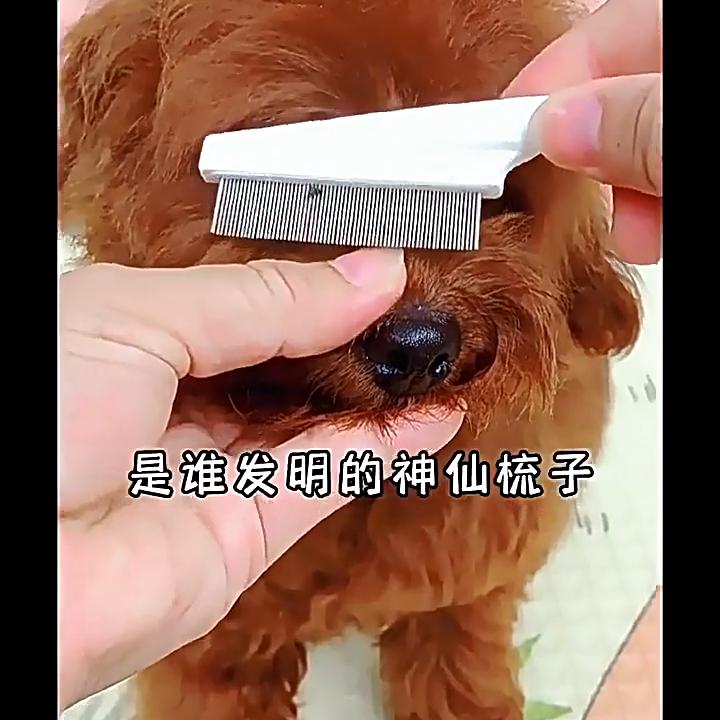 Новая практичная щетка для чистки лица домашних животных для маленьких собак Тедди Бишон Померанский шпиц Расческа для удаления волос Инструмент для чистки ухода за домашними животными
Новая практичная щетка для чистки лица домашних животных для маленьких собак Тедди Бишон Померанский шпиц Расческа для удаления волос Инструмент для чистки ухода за домашними животными