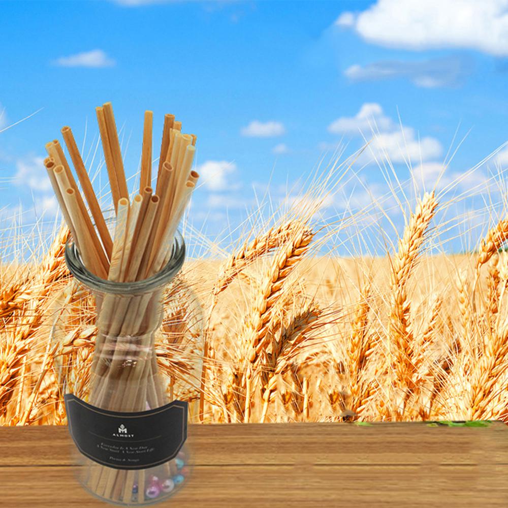 100PCS Wheat Straw Drinking Straw Eco-friendly Portable straw For Travel Reusable Drinking Straw Bar Kitchen Accessories 20CM
100PCS Wheat Straw Drinking Straw Eco-friendly Portable straw For Travel Reusable Drinking Straw Bar Kitchen Accessories 20CM