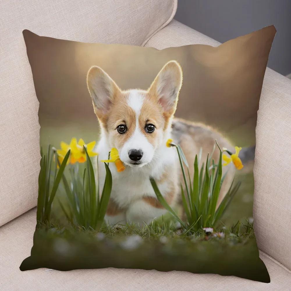 Cute Animal Welsh Corgi Pembroke Dog Pattern Pillowcase Decorative Print For Sofa Home Car 16x16Inch
Cute Animal Welsh Corgi Pembroke Dog Pattern Pillowcase Decorative Print For Sofa Home Car 16x16Inch