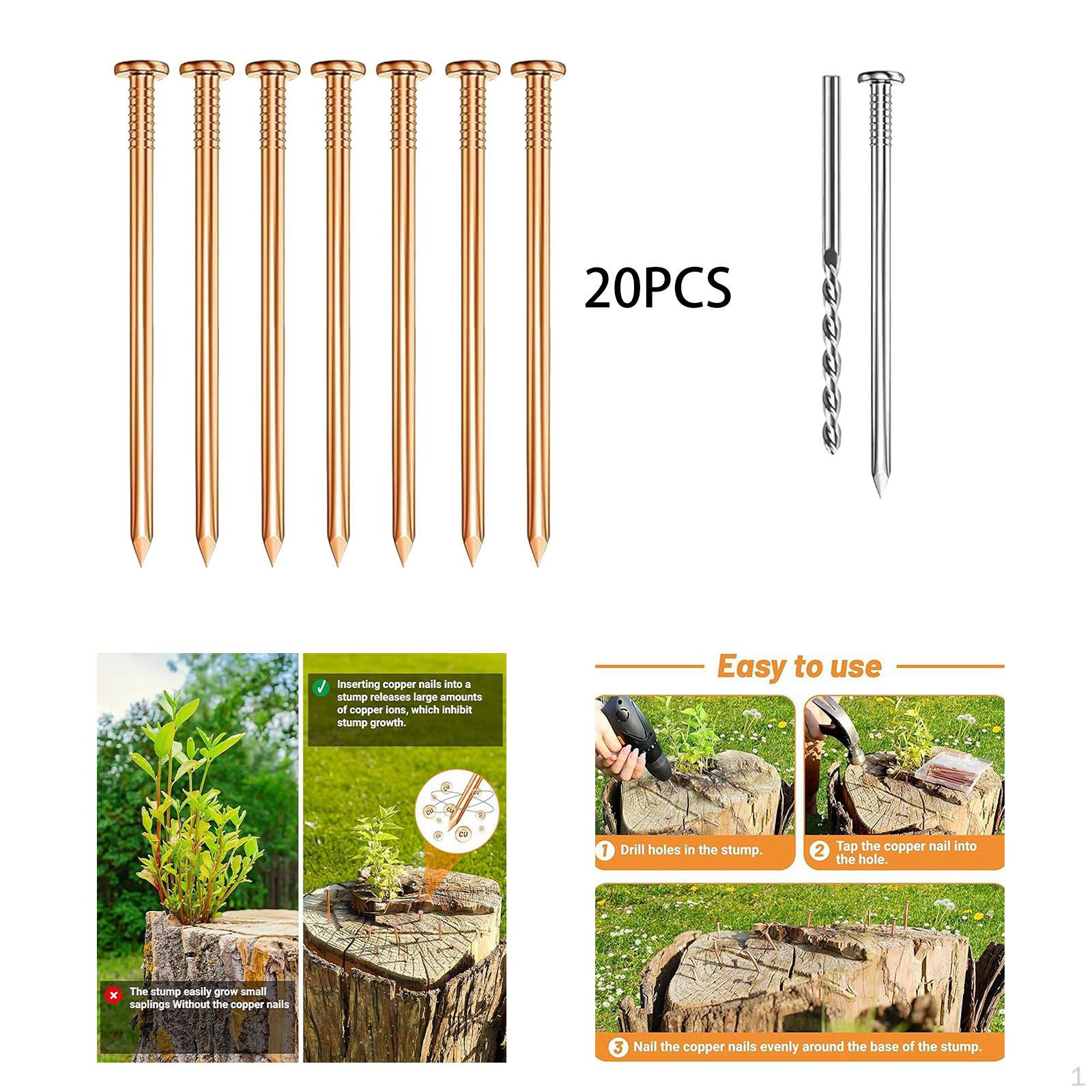 Copper Clout Nails Hardware Міцний багатофункціональний професійний сланцевий шип Пень 22pcs
Copper Clout Nails Hardware Міцний багатофункціональний професійний сланцевий шип Пень 22pcs