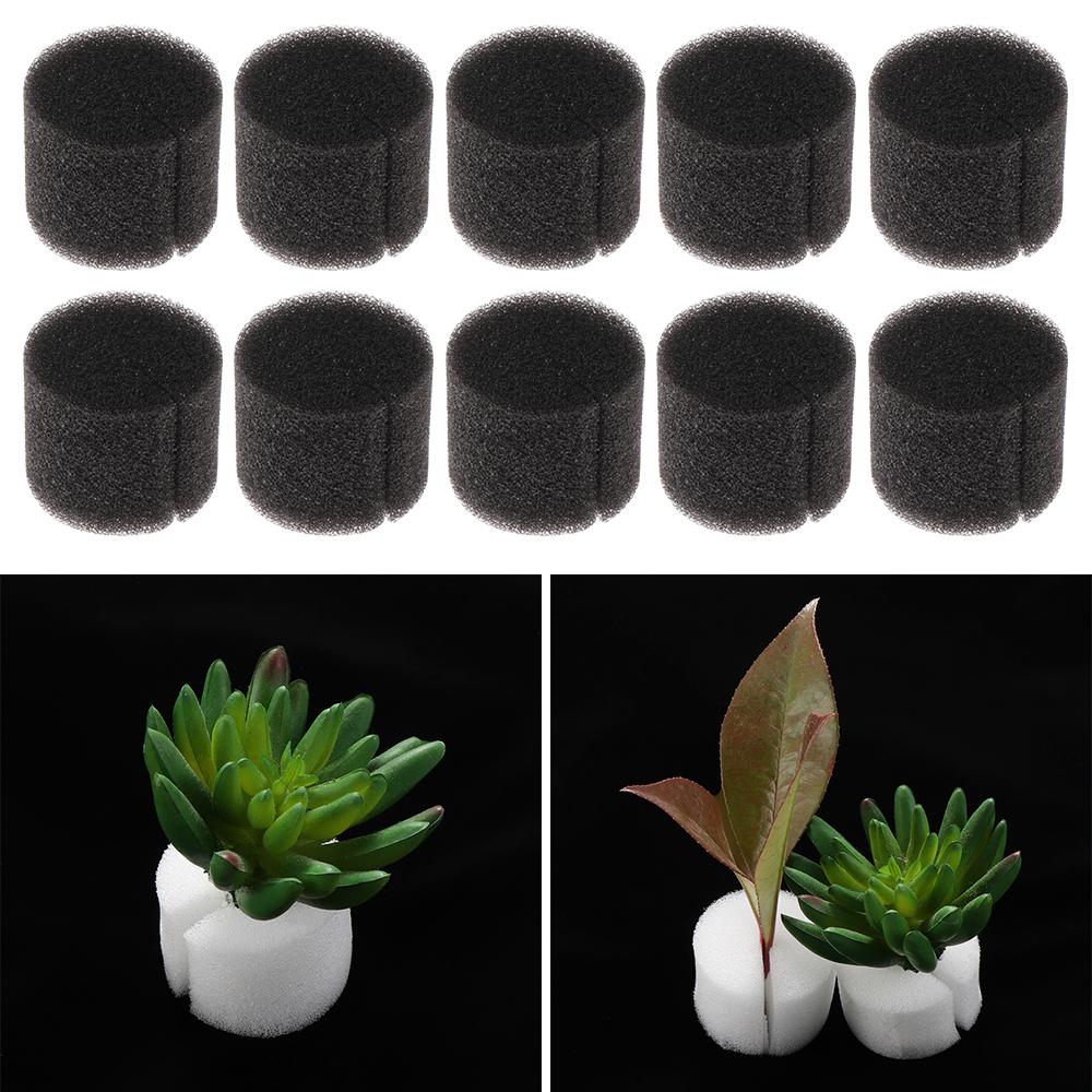 Garden Supplies Cultivation Planting Soilless Hydroponic Seed Trays Nursery Sponge Flower Pots
Garden Supplies Cultivation Planting Soilless Hydroponic Seed Trays Nursery Sponge Flower Pots