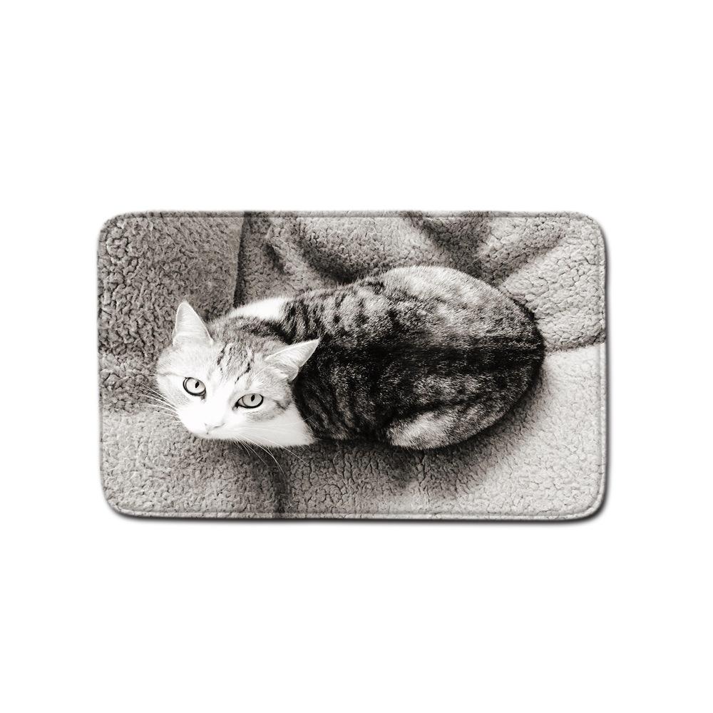 Animal Household Door Mat Bathroom Kitchen Non-Slip Floor Mat Bedroom Living Room Absorbent Carpet 40*60cm
Animal Household Door Mat Bathroom Kitchen Non-Slip Floor Mat Bedroom Living Room Absorbent Carpet 40*60cm