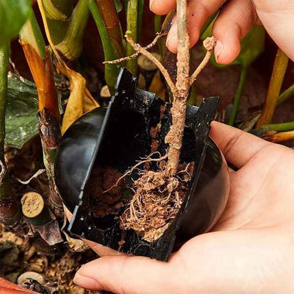 ABWR-10Pcs Reusable Plant Rooting Equipment Kit Cutting Grafting Rooting Box Branch Rooting Propagator Breeding Ball чёрный
ABWR-10Pcs Reusable Plant Rooting Equipment Kit Cutting Grafting Rooting Box Branch Rooting Propagator Breeding Ball чёрный