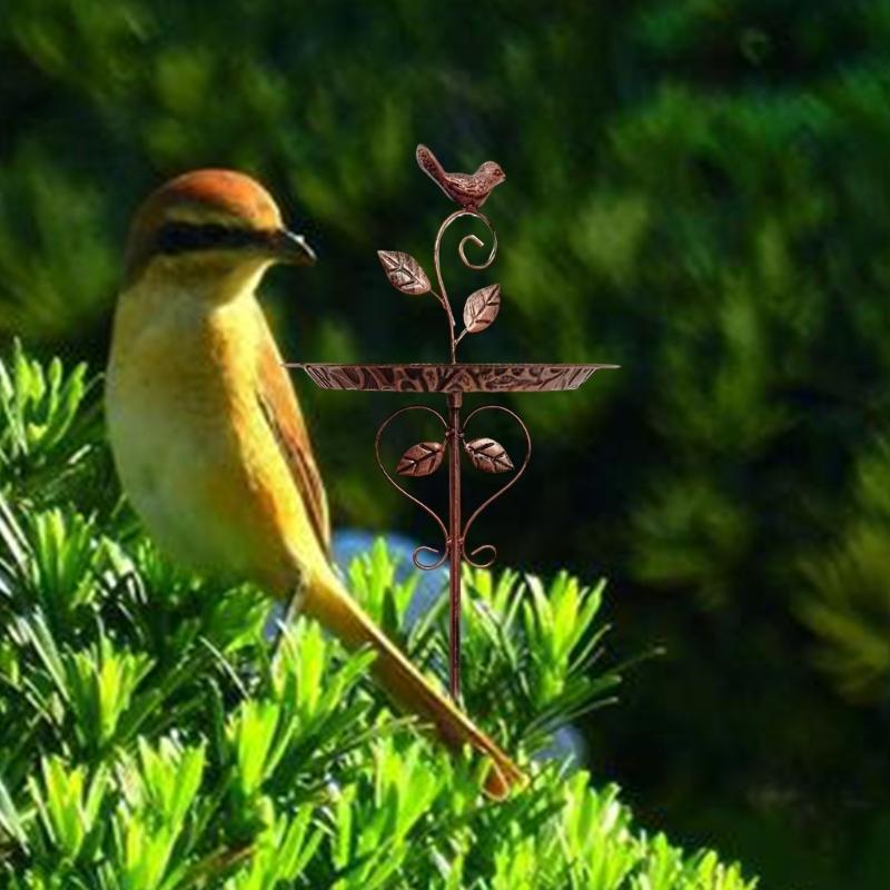 Durability Vintage Bird Feeders Iron Crafted Garden Accents Rusts Proof Bird Feeding for Outdoor Use J0MC China Mainland
Durability Vintage Bird Feeders Iron Crafted Garden Accents Rusts Proof Bird Feeding for Outdoor Use J0MC China Mainland