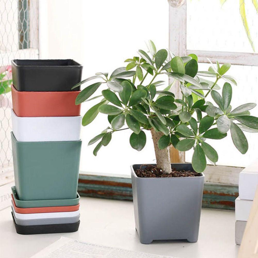3 set Resin Succulent Plant Pot with Tray Nursery Pot Household Plastic Flower Pot Balcony S білий
3 set Resin Succulent Plant Pot with Tray Nursery Pot Household Plastic Flower Pot Balcony S білий