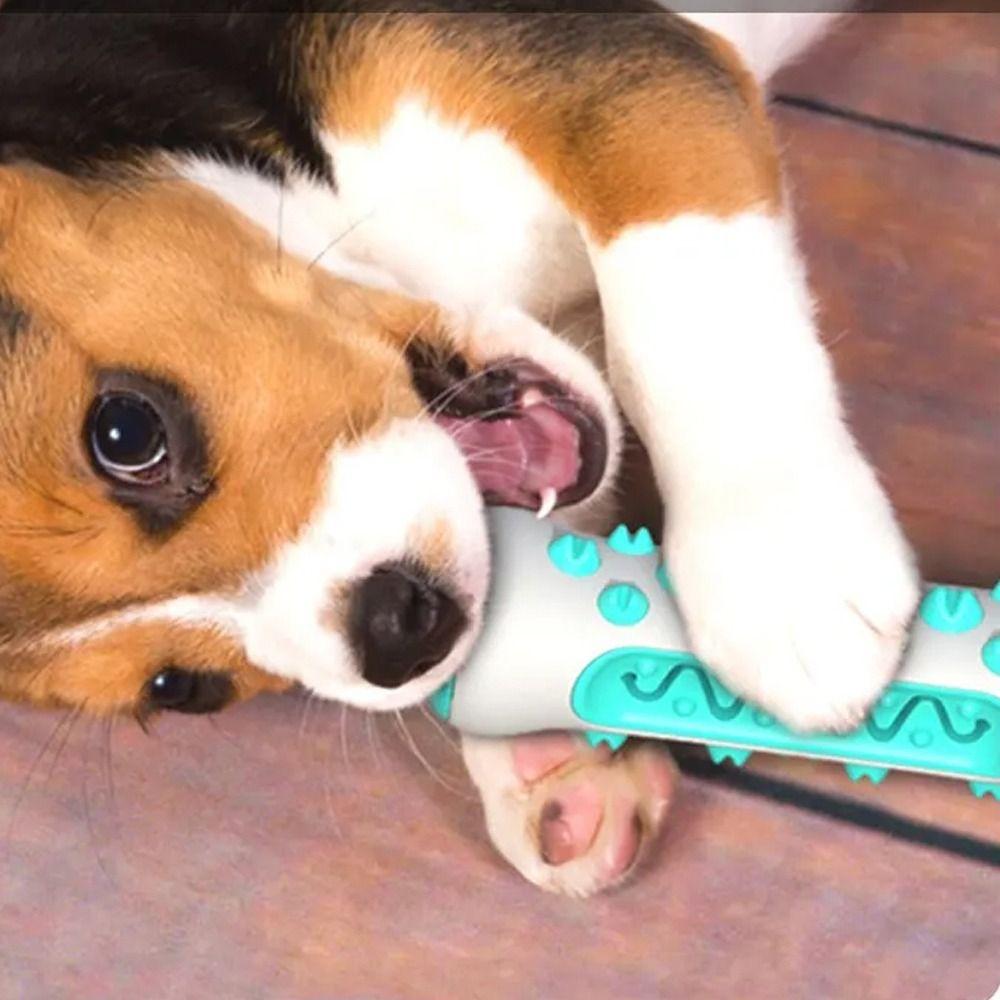 TPR Dog Toothbrush Non-slip Puppy Cleaning Toy Pet Supplies Dog Teeth Grinding Stick Pet Gift жовтий
TPR Dog Toothbrush Non-slip Puppy Cleaning Toy Pet Supplies Dog Teeth Grinding Stick Pet Gift жовтий