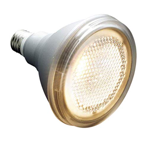 Koizumi Lighting Beam Spherical LED Lamp XE47598L
Koizumi Lighting Beam Spherical LED Lamp XE47598L