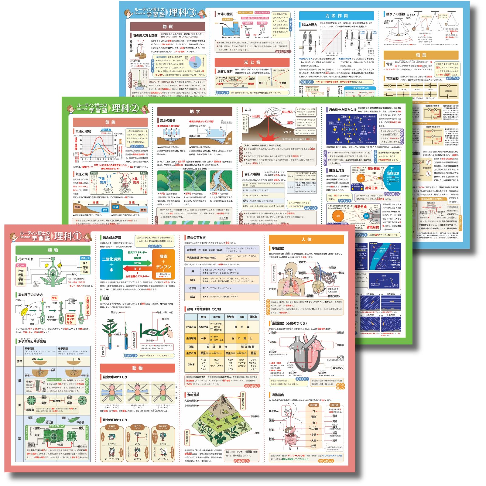 Routine Hakase no Gakushū Juku Bath Poster Set Science 3 Sheets B3 Size for Junior High School Entrance Exam Elementary and High School Science
Routine Hakase no Gakushū Juku Bath Poster Set Science 3 Sheets B3 Size for Junior High School Entrance Exam Elementary and High School Science