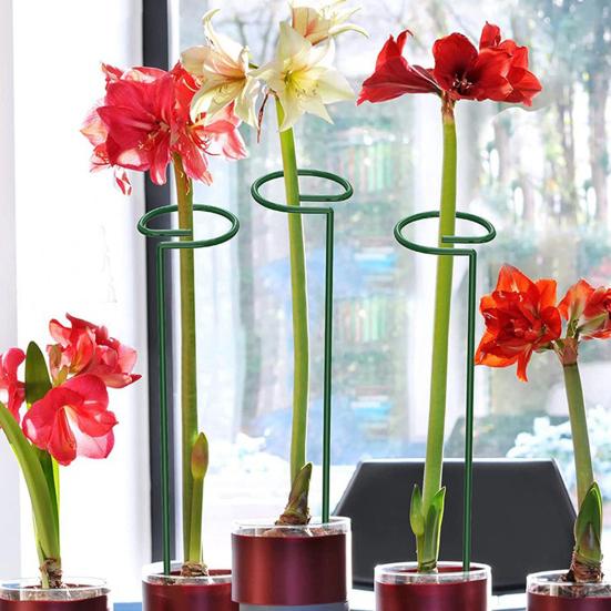 12 Pcs Tomato Twist Stakes Spiral Plant Support Stakes Climbing Plant Stakes for Tomato Butterfly Orchid Flowers Home Gardening A
12 Pcs Tomato Twist Stakes Spiral Plant Support Stakes Climbing Plant Stakes for Tomato Butterfly Orchid Flowers Home Gardening A