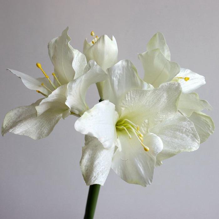 Simulation silk flower ornament, flannel simulation Clivia fake flower home furnishing hotel soft floor flower arrangement material Zhu Dinghong
Simulation silk flower ornament, flannel simulation Clivia fake flower home furnishing hotel soft floor flower arrangement material Zhu Dinghong