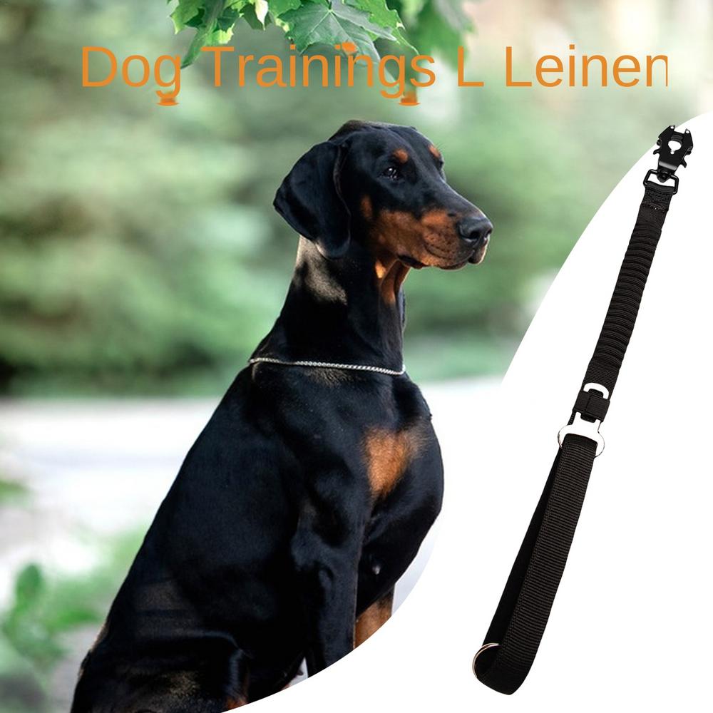 Shock Absorbing Dog Rope Elastic Leads Rope Short Traction Dog Walking Lead Pet Dog Cat Puppy Traction Rope Elastic Sturdy Dog чёрный
Shock Absorbing Dog Rope Elastic Leads Rope Short Traction Dog Walking Lead Pet Dog Cat Puppy Traction Rope Elastic Sturdy Dog чёрный