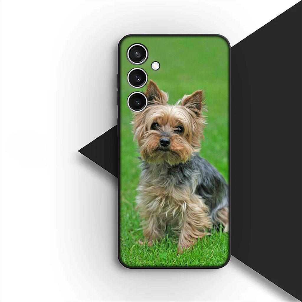 Yorkshire Terrier Yorkie Dachshund Dog Phone Cover Case for OPPO A18 A16 A80 A40 A17 A15 A38 A78 A79 A54 A57 A58 A60 4G 5G OPPO A54 5G
Yorkshire Terrier Yorkie Dachshund Dog Phone Cover Case for OPPO A18 A16 A80 A40 A17 A15 A38 A78 A79 A54 A57 A58 A60 4G 5G OPPO A54 5G