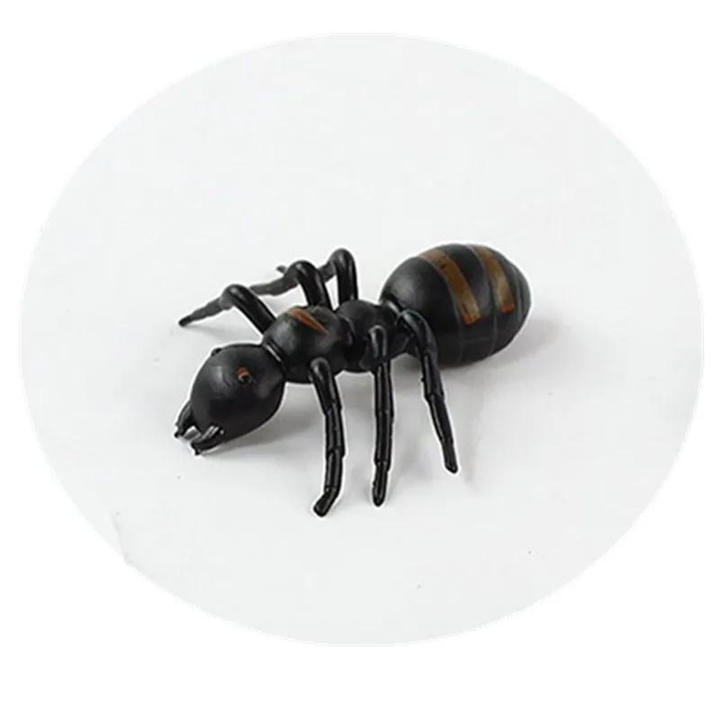 10Pcs Creative April Fools Scary Spoof Interaction Toys Novelty Halloween Fake Giant Ant Toy Funny Realistic Prank Insect Model
10Pcs Creative April Fools Scary Spoof Interaction Toys Novelty Halloween Fake Giant Ant Toy Funny Realistic Prank Insect Model
