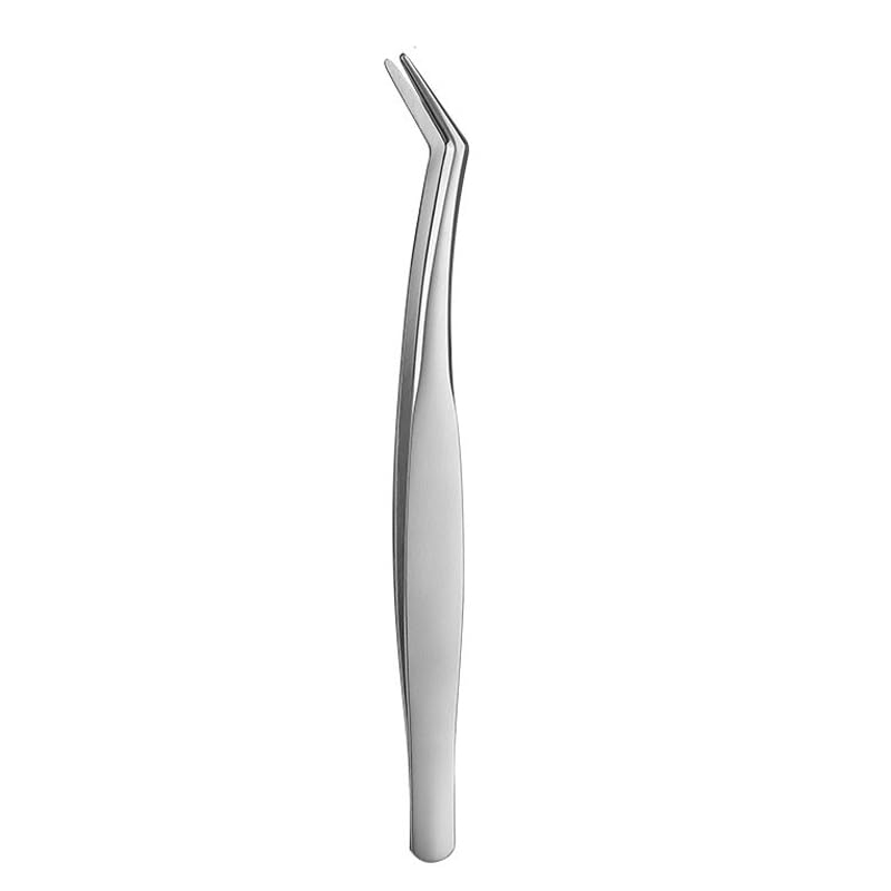 LOYELEY Eyelash Extensions False Eyelash Tweezers Eyelash Tweezers Precision Stainless Steel Curved Type Fine Work False Eyelashes
LOYELEY Eyelash Extensions False Eyelash Tweezers Eyelash Tweezers Precision Stainless Steel Curved Type Fine Work False Eyelashes
